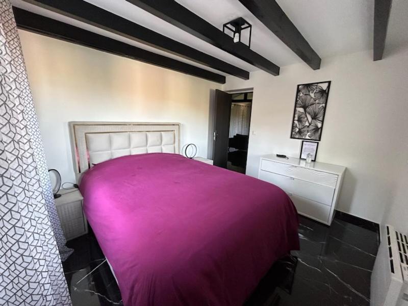 Sinalospa - Culiacan - Appartement Jardin Jacuzzi Sauna A 5 Minutes De Nancy Place Stanislas Champigneulles Extérieur photo